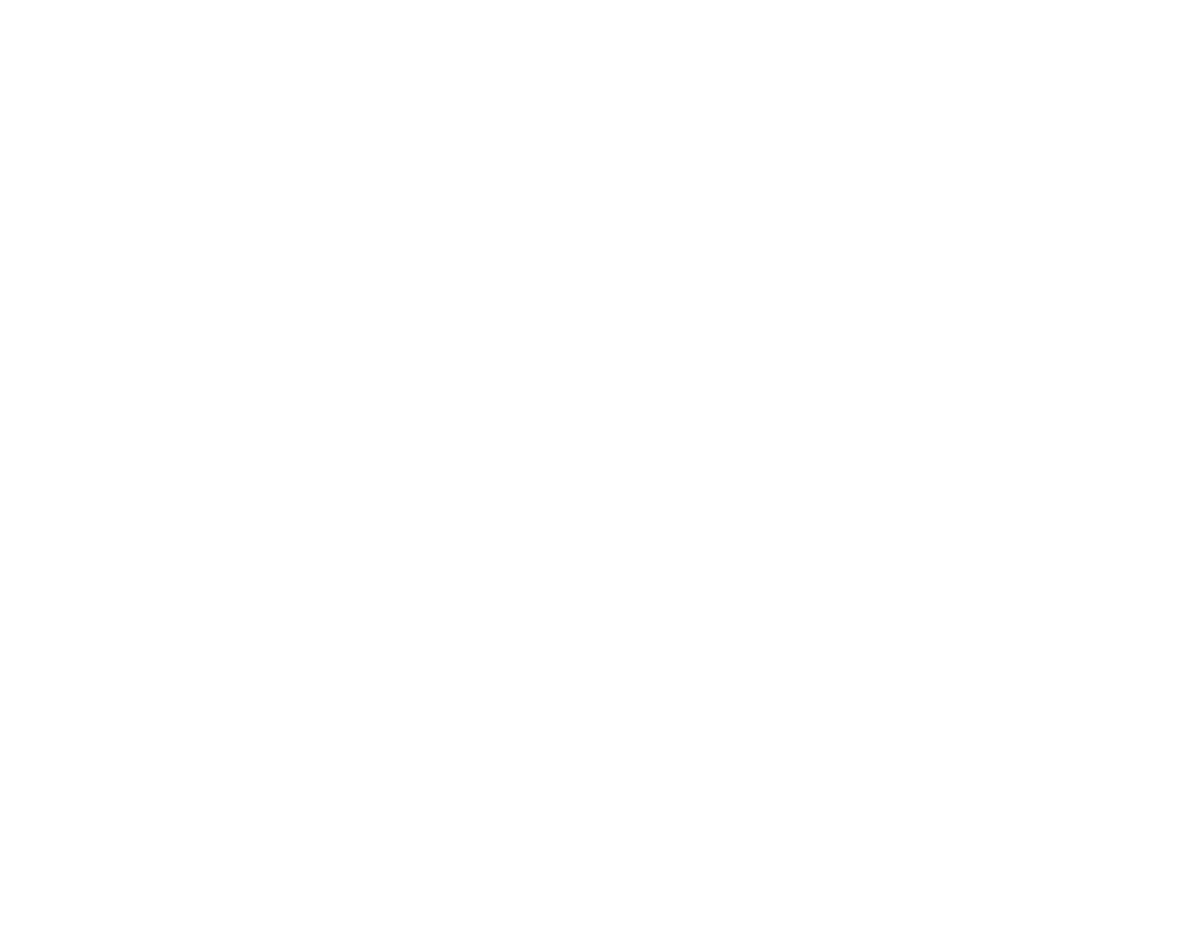 Zenith Lighting
